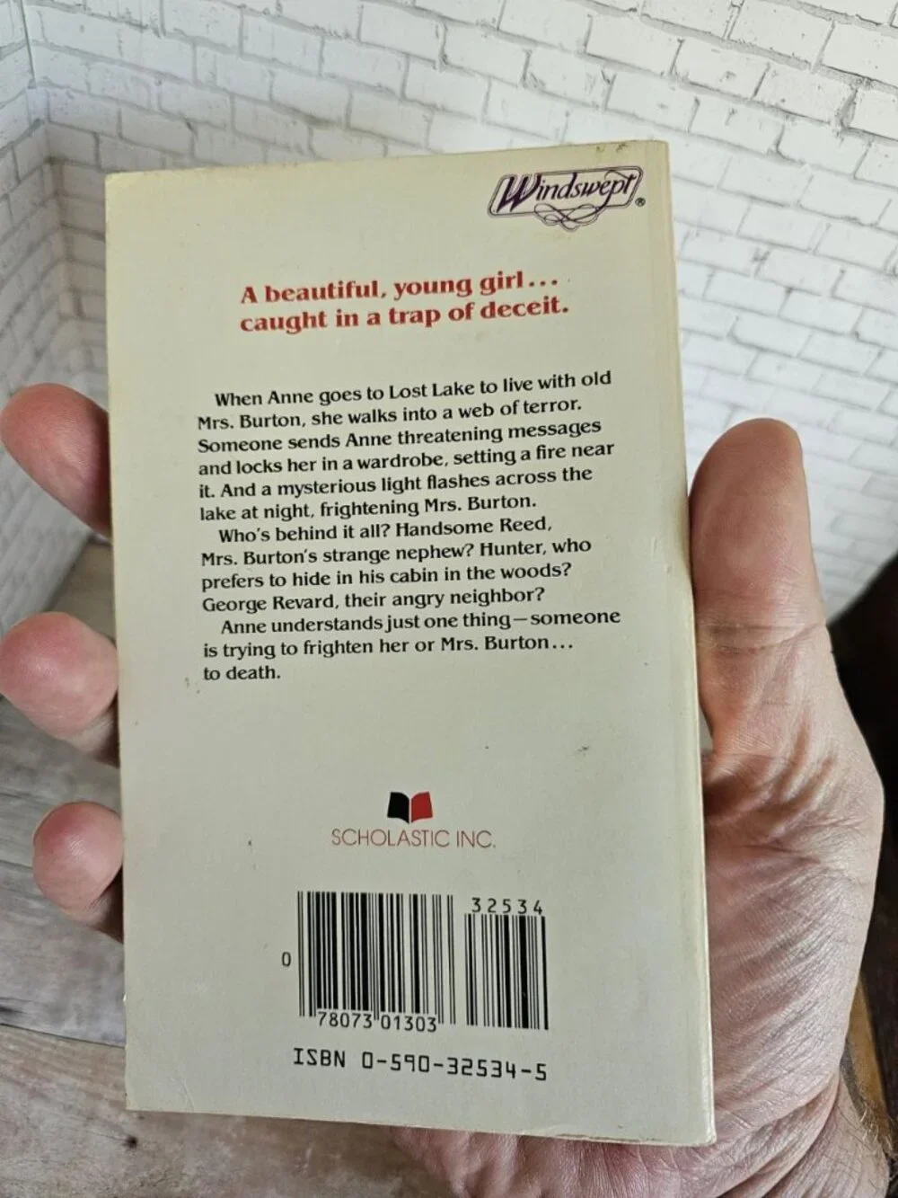 The Phantom Light Suzan Dix 1983 Windswept Vintage YA Mystery Paperback